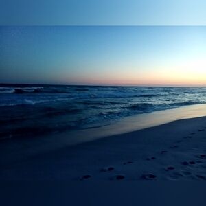 Enjoying the beautiful weather in Florida